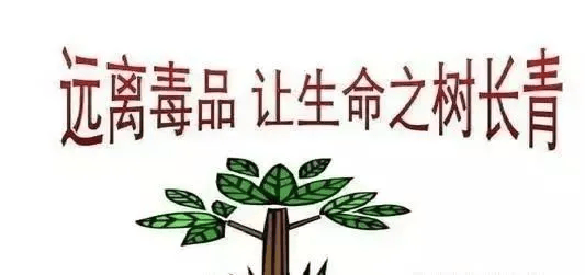 要想不吸毒,就要珍爱生命,坚决拒绝毒品