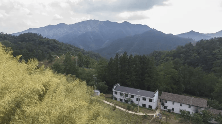 这是6月15日拍摄的歙县桂林国有林场水竹坑分场瓦上管护站(无人机照片