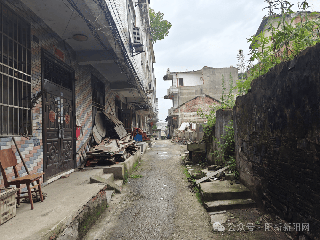 【民生】杨波调研南门街棚户区改造项目进展情况