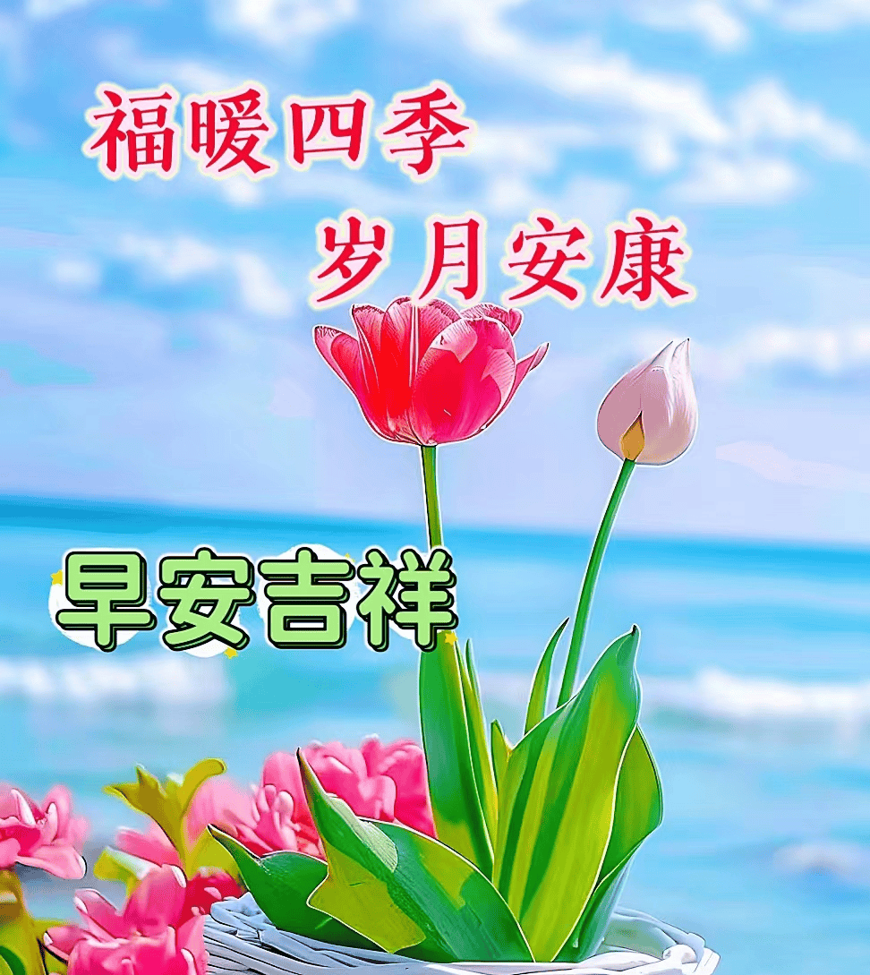 好问候语精选大全,一声问候到身边,万事如意送平安