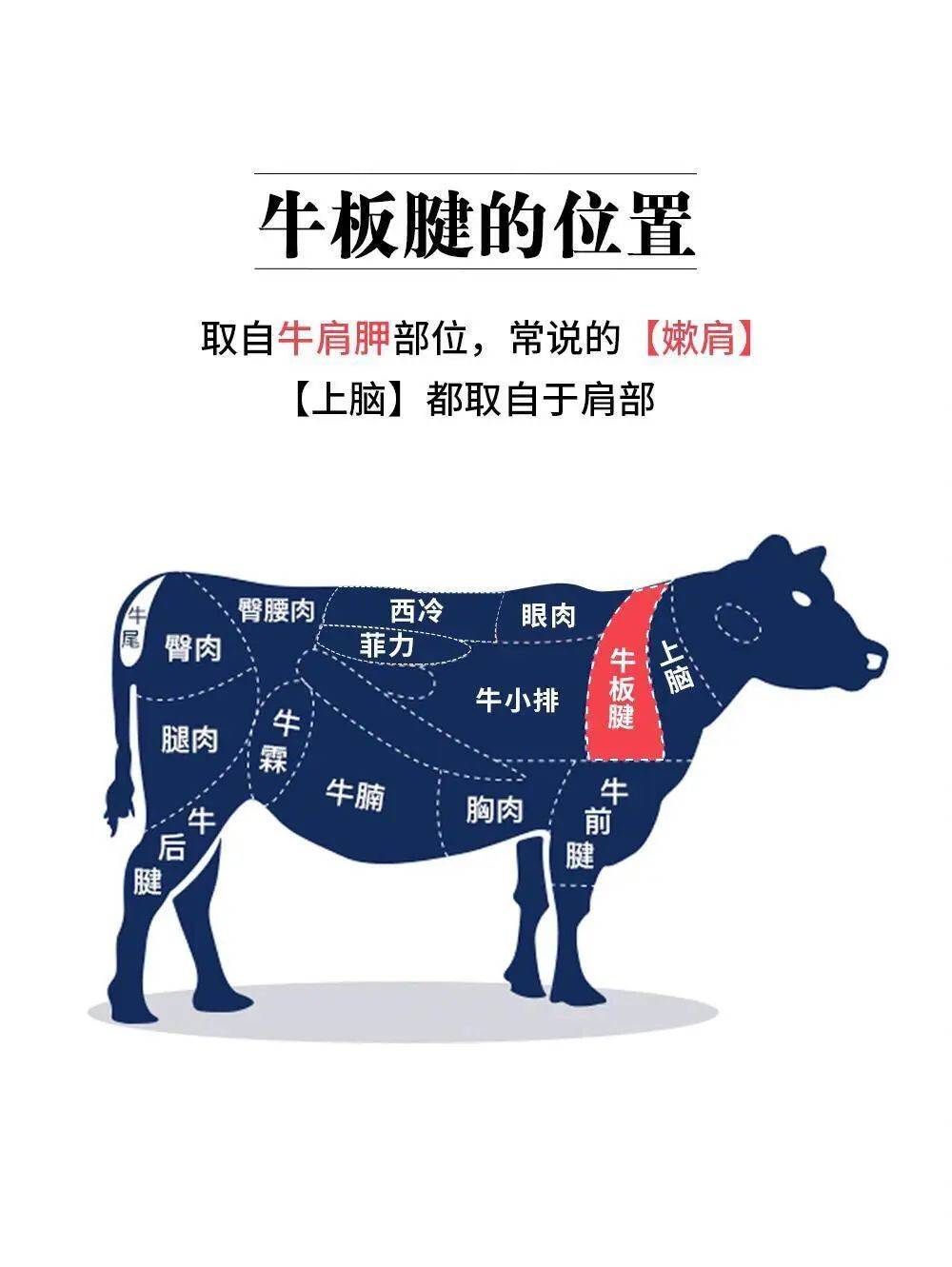 牛肉的切法图解图片