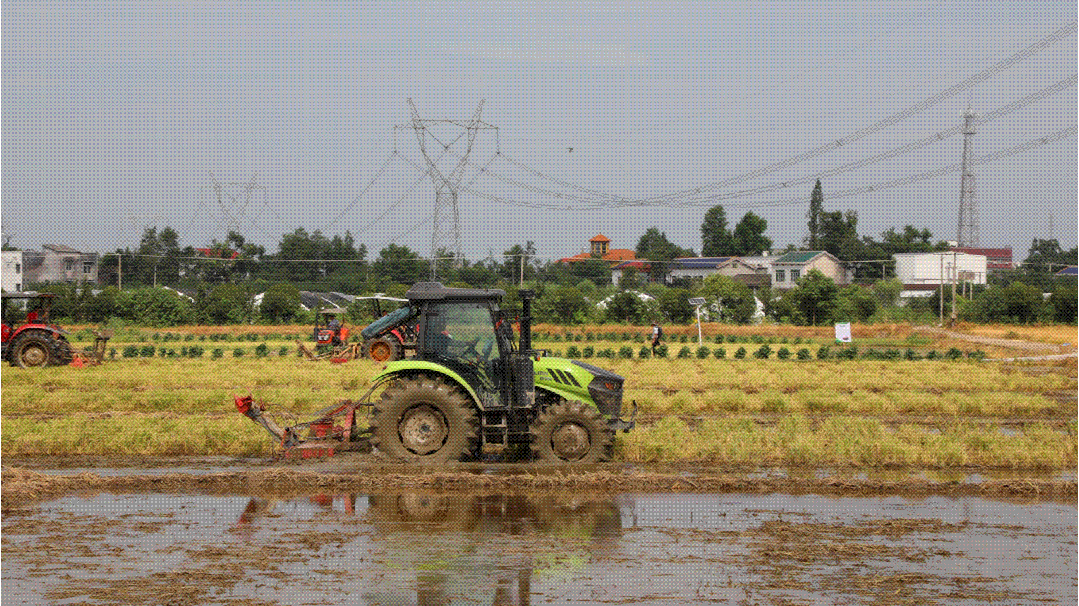 "本次活动的开展对当下湖南各地水稻双抢工作有着重要的示