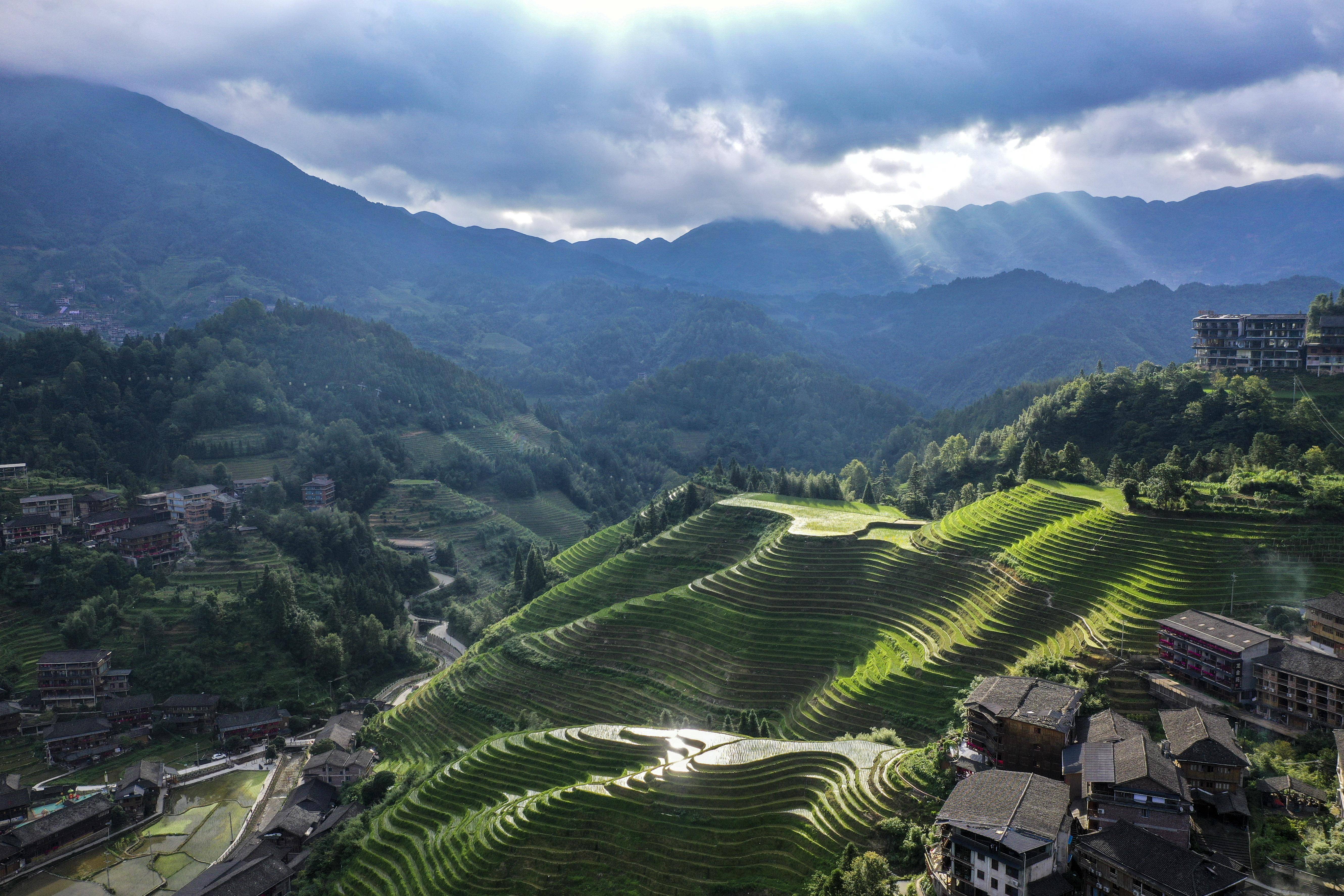 莒南梯田森林公园图片