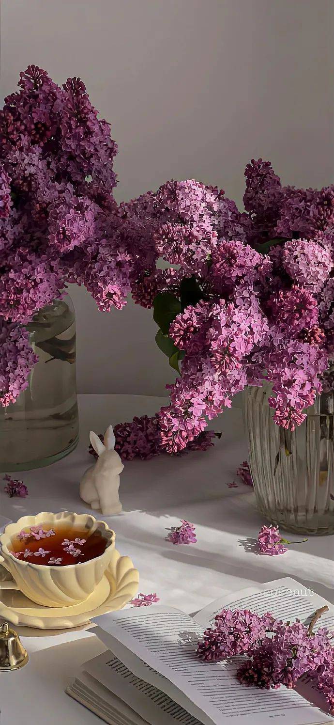 323031313530353437壁纸|iphone壁纸