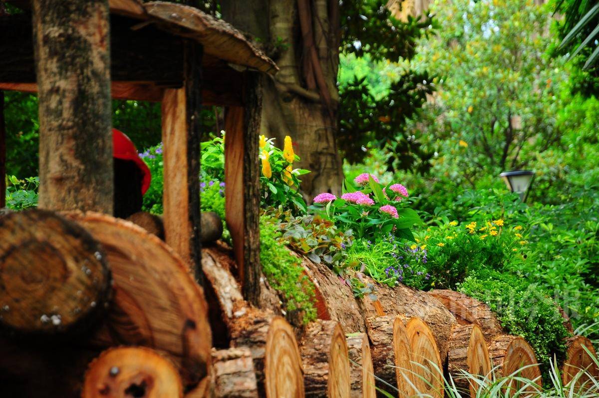 废弃木料变身精美景观,快来给柳州"园林工匠"点个赞吧!