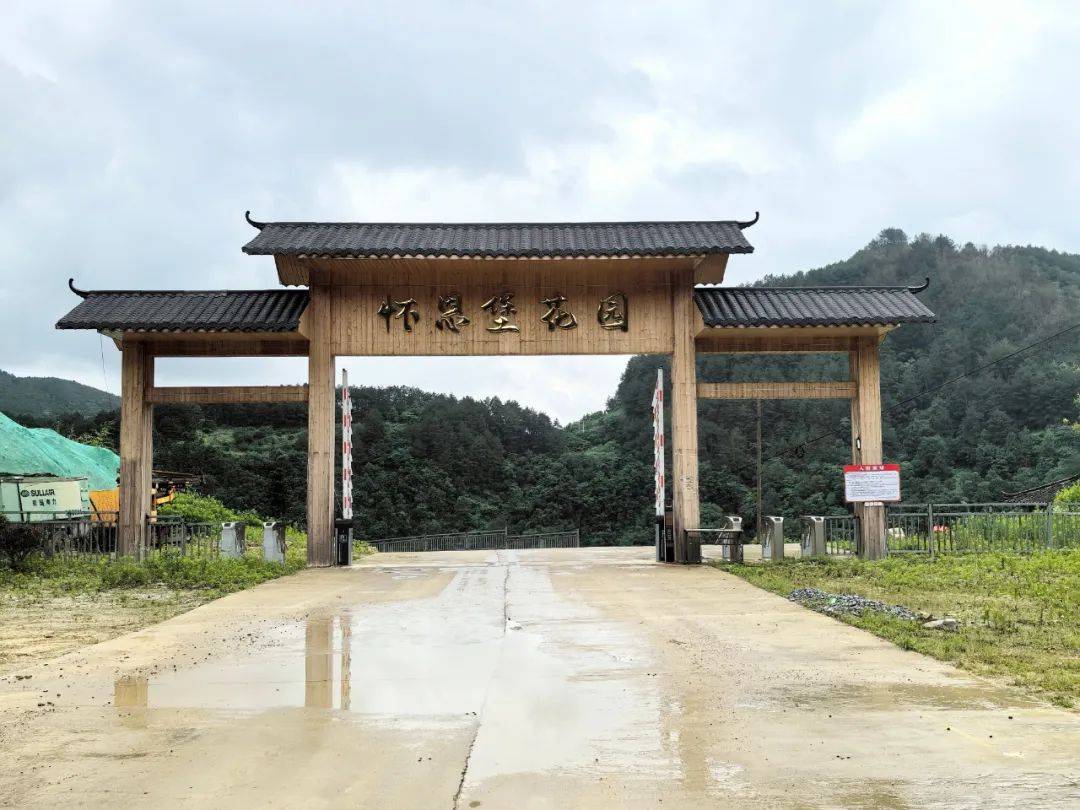 走进三棵树镇平寨村怀恩堡花园,映入眼帘的是大片的紫色花海.