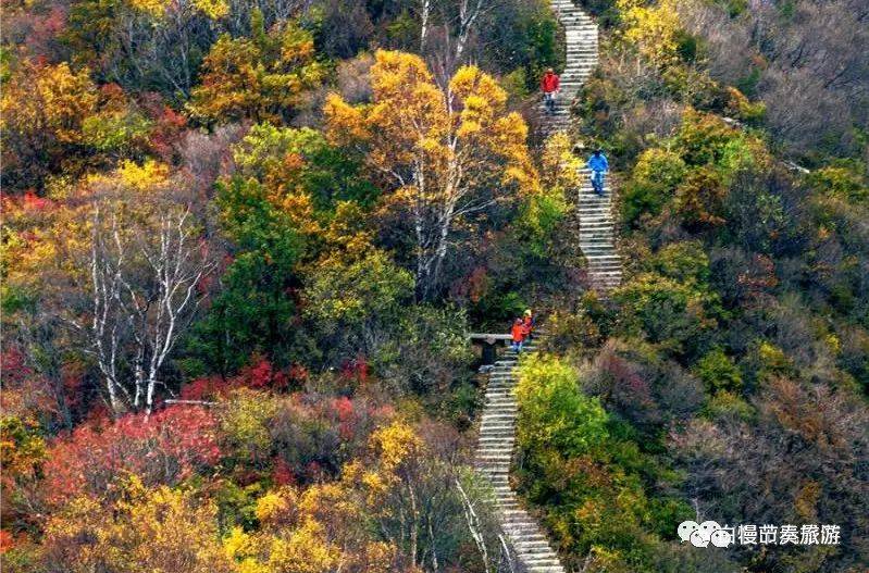 秋夏春白石山四季景色白石山位于河北保定涞源县,是国家5a级景区,世界
