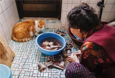 被奶奶带大的橘猫，这画风果然就是跟别人家的猫咪不太一样