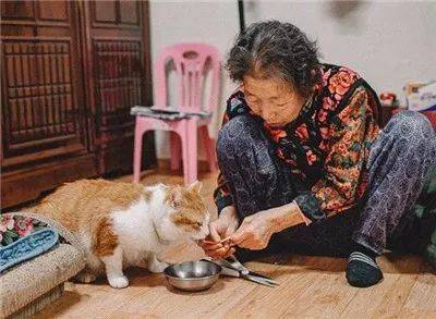 被奶奶带大的橘猫，这画风果然就是跟别人家的猫咪不太一样