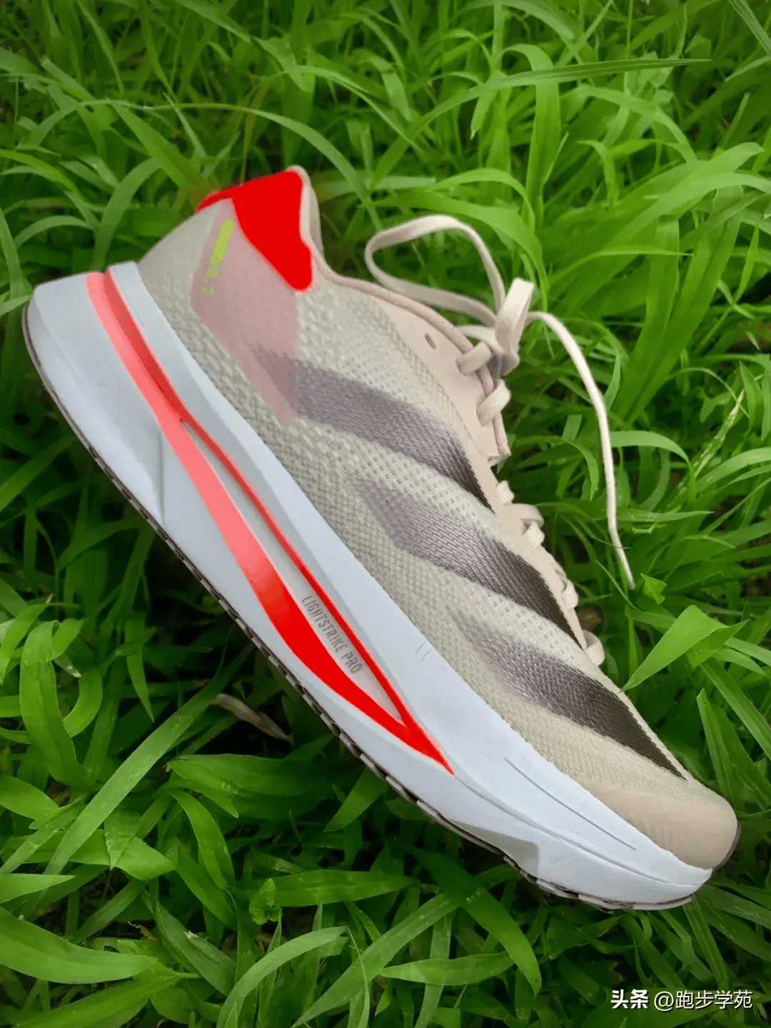 苦等一年，终于盼到ADIZERO SL2！