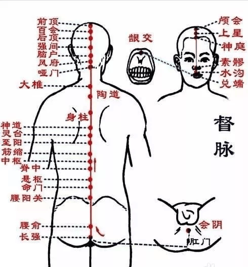 三伏天晒背,不花1分钱,晒对了能健康一整年_阳气_太阳_时候