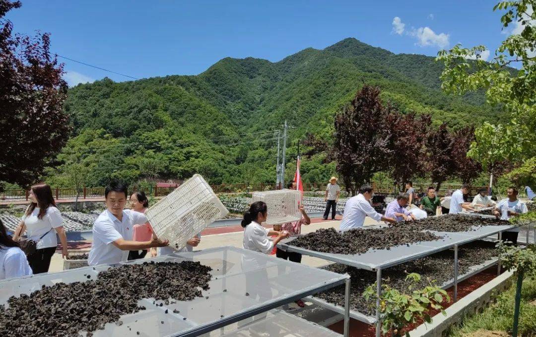 "千万工程"看商洛 |静享康养居·画境老庵寺