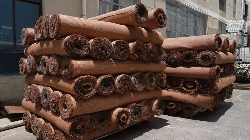 台州纸编凉席 "席卷"海内外