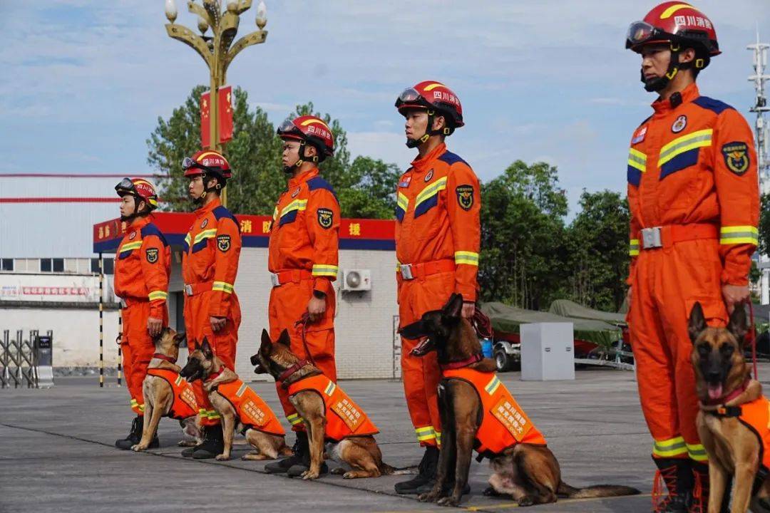 成为消防员,你将获得?