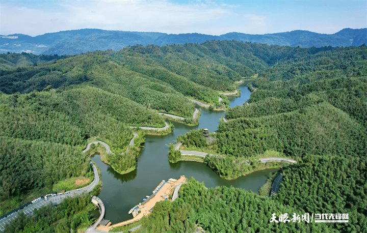 赤水竹海国家森林公园是世界上面积最大,海拔最高的竹类国家森林公园