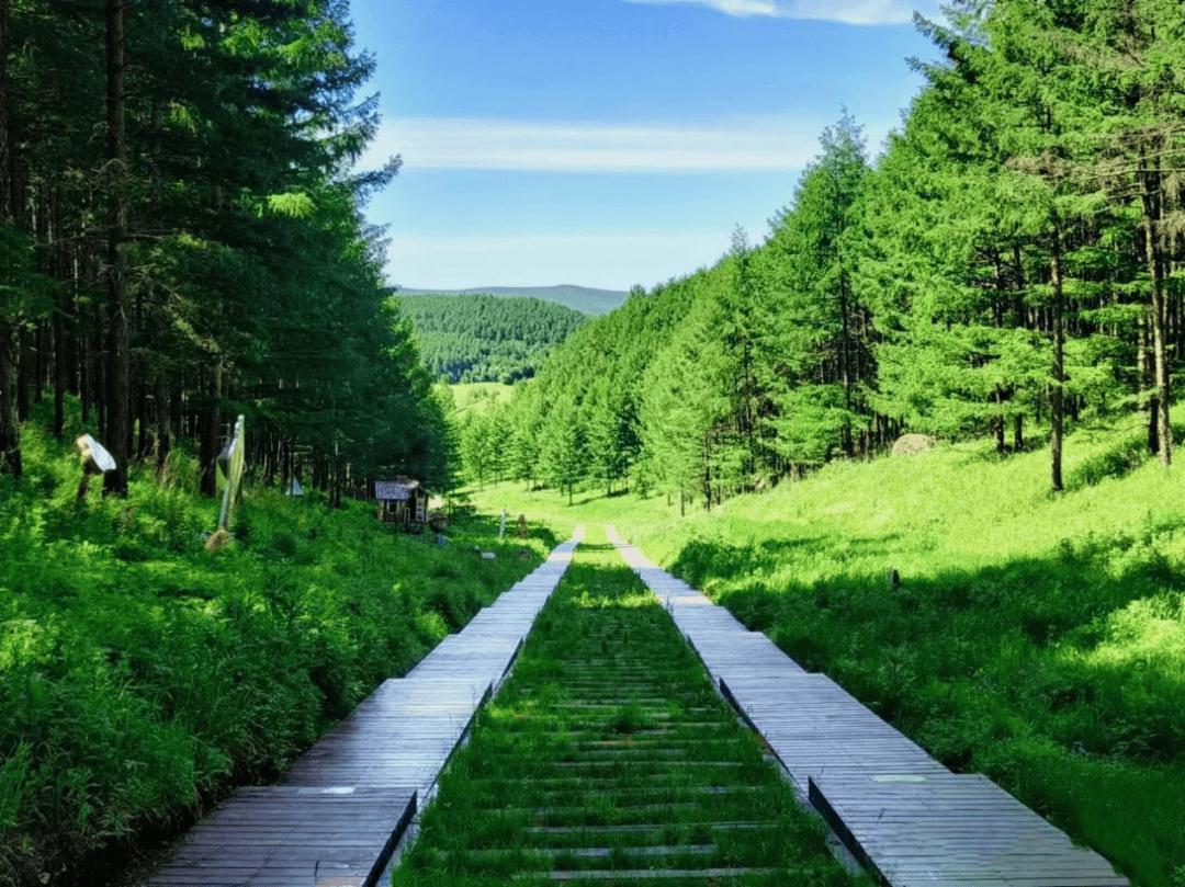 来自内蒙古的夏季之邀 | 兴安盟:您的专属夏日"松弛"计划