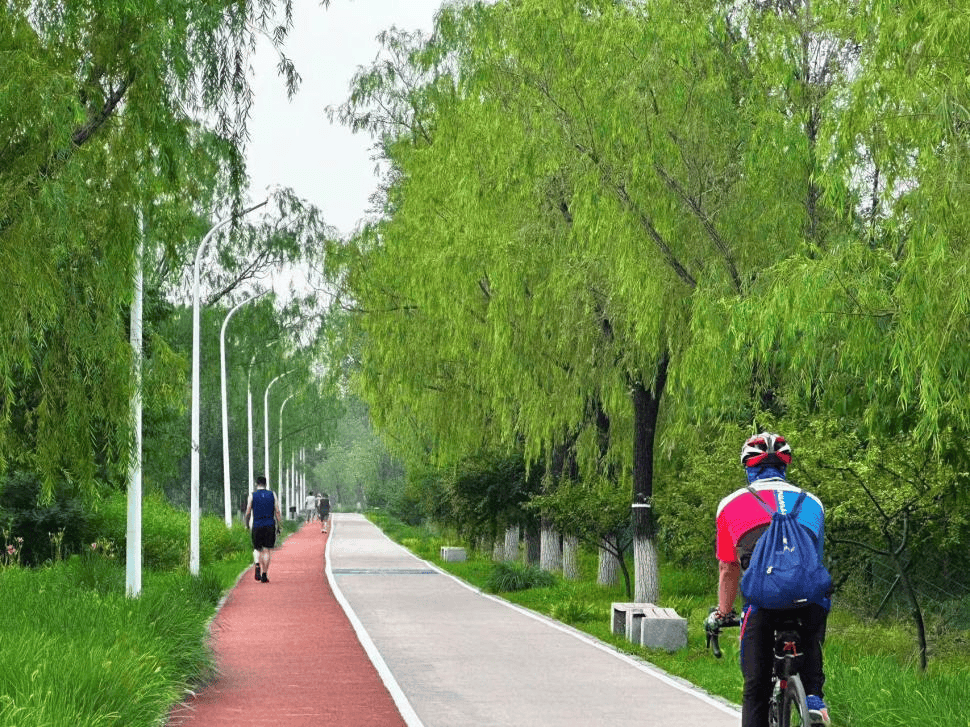 主入口华丽转型,宛平湖广场绿意盎然