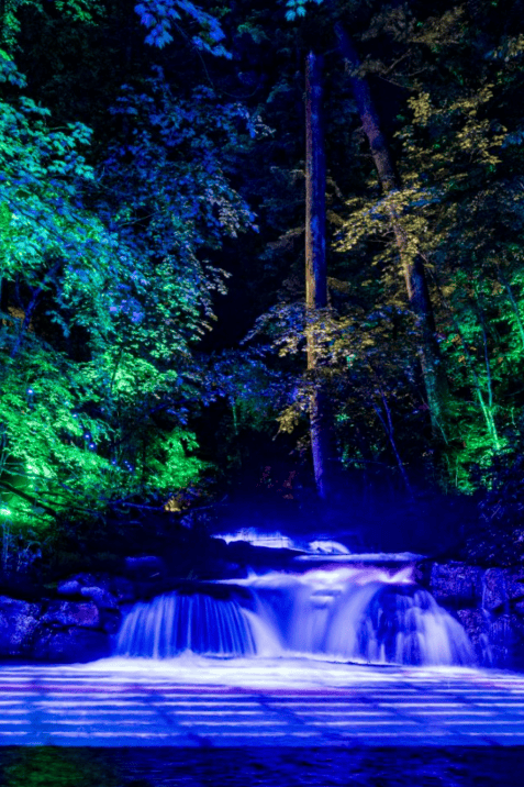 长白山必玩之奇幻森林光之舞