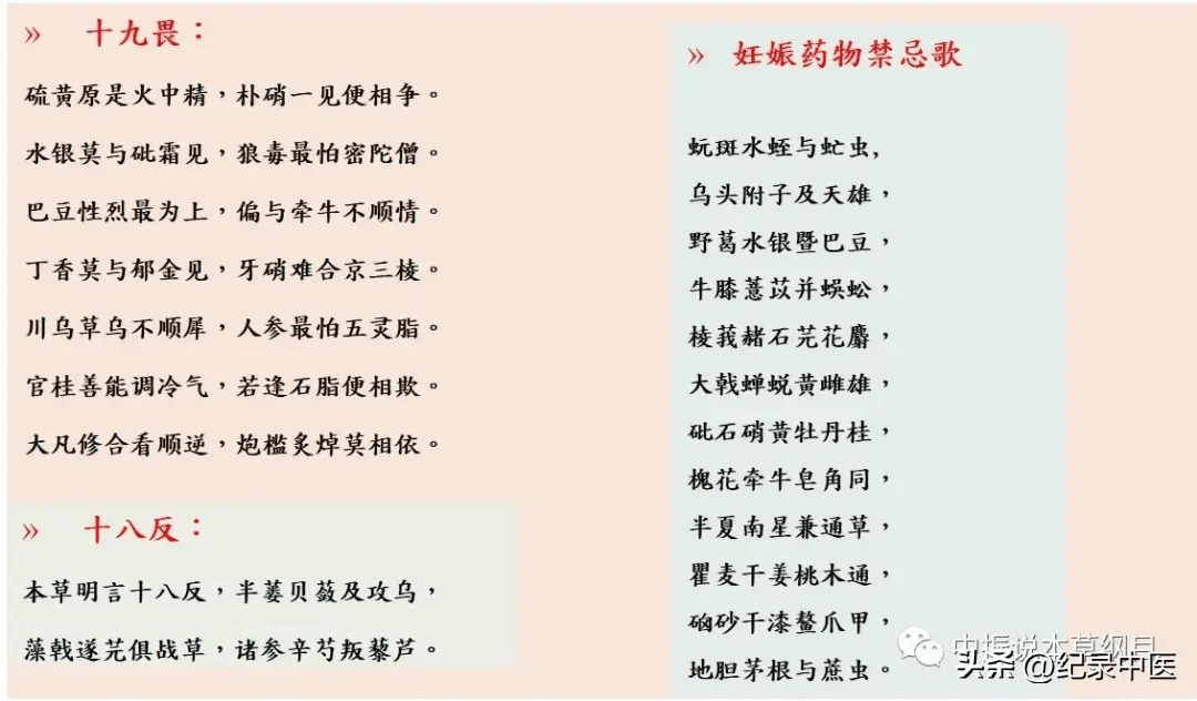 药材_中药_药物学