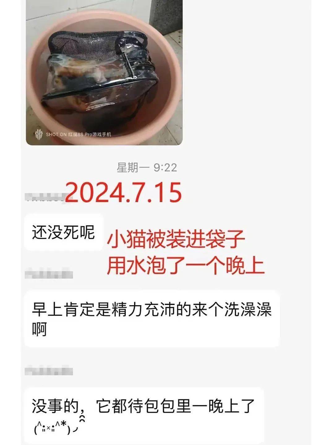 大学生踩死动物图片