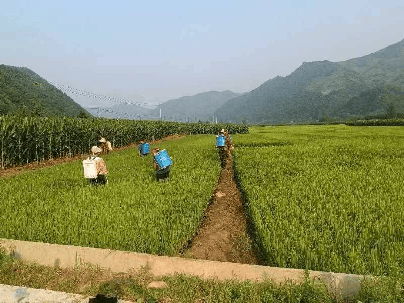 🌸证券时报【2024澳门资料大全正版资料免费】|滨州市卫生健康半年工作推进会召开  第5张