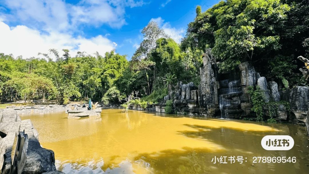 出发·去旅行 | 州庆"小长假",来芒市沉浸式旅游吧!