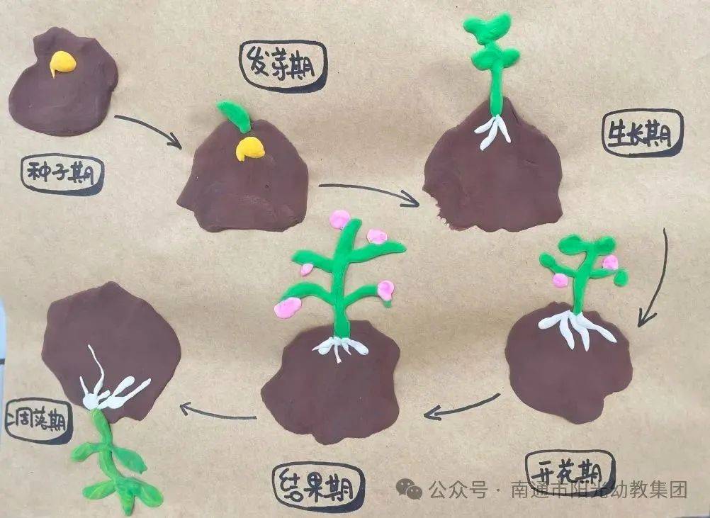 【阳光城堡园】花花世界———小一班班本课程_花朵_幼儿园_生活
