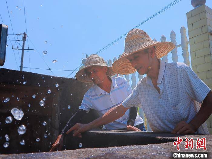 防汛抗旱"两不误" 湖南南县小电排"调水"大作用