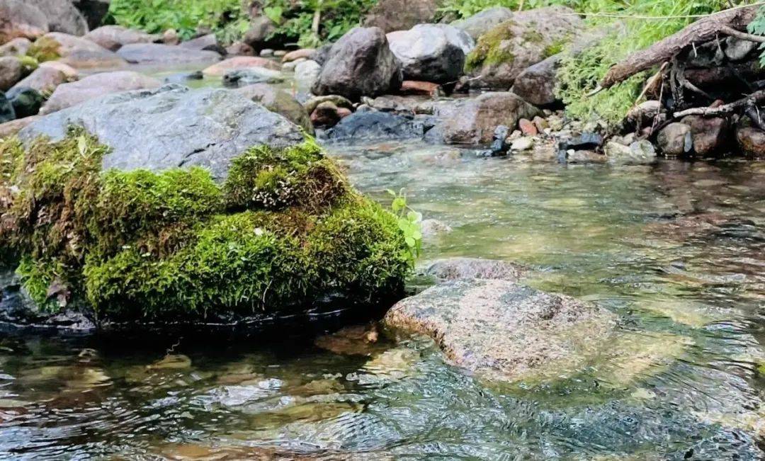 2024暑假·单日营丨山水碧玉踏溪流-玉渡山徒步溯溪(7.28周日)