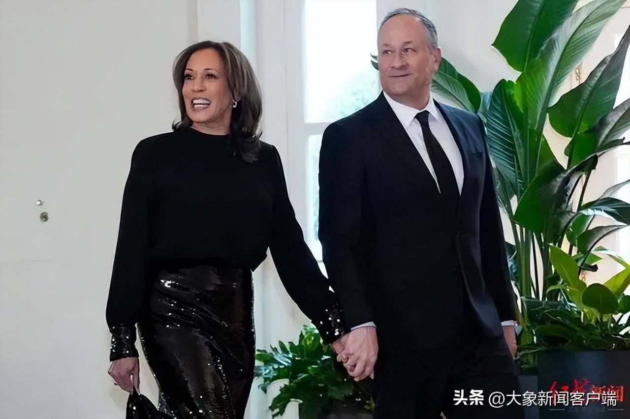 美副总统哈里斯家庭总资产曝光:在洛杉矶,加州等地有房产