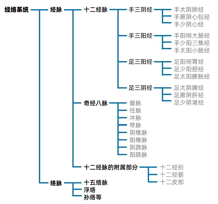 人体24条经络图片