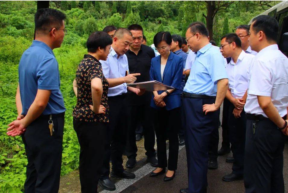 7月26日,市委书记张莉,市委副书记,市长范长征现场调研潮泉镇文旅项目