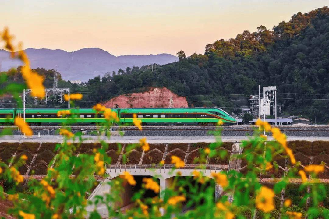 🌸绿色中国网络电视 【今晚必中一码一肖澳门】_上海城市定向户外挑战赛临港赛场开跑  第6张