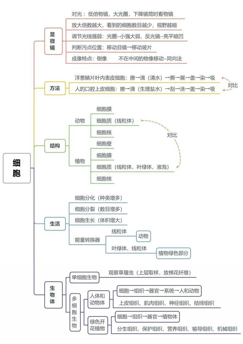 初中生物全册思维导图总结,所有必考点一目了然!