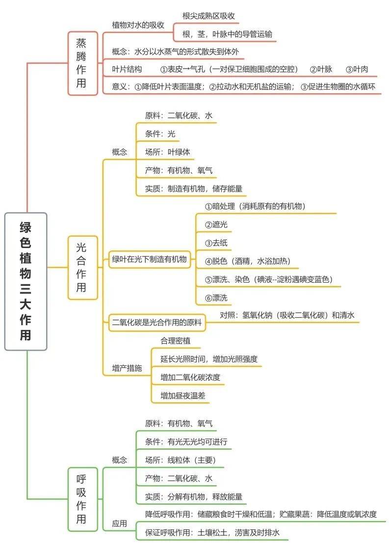 物种起源思维导图初中图片