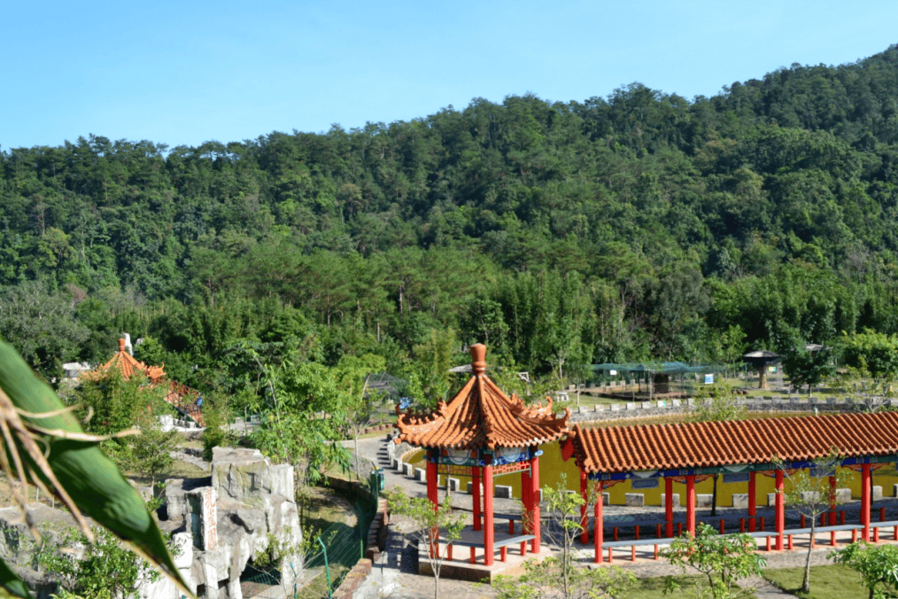 上思县周末不妨带着家人和孩子们城市中的喧嚣和高温让人心生倦意又到