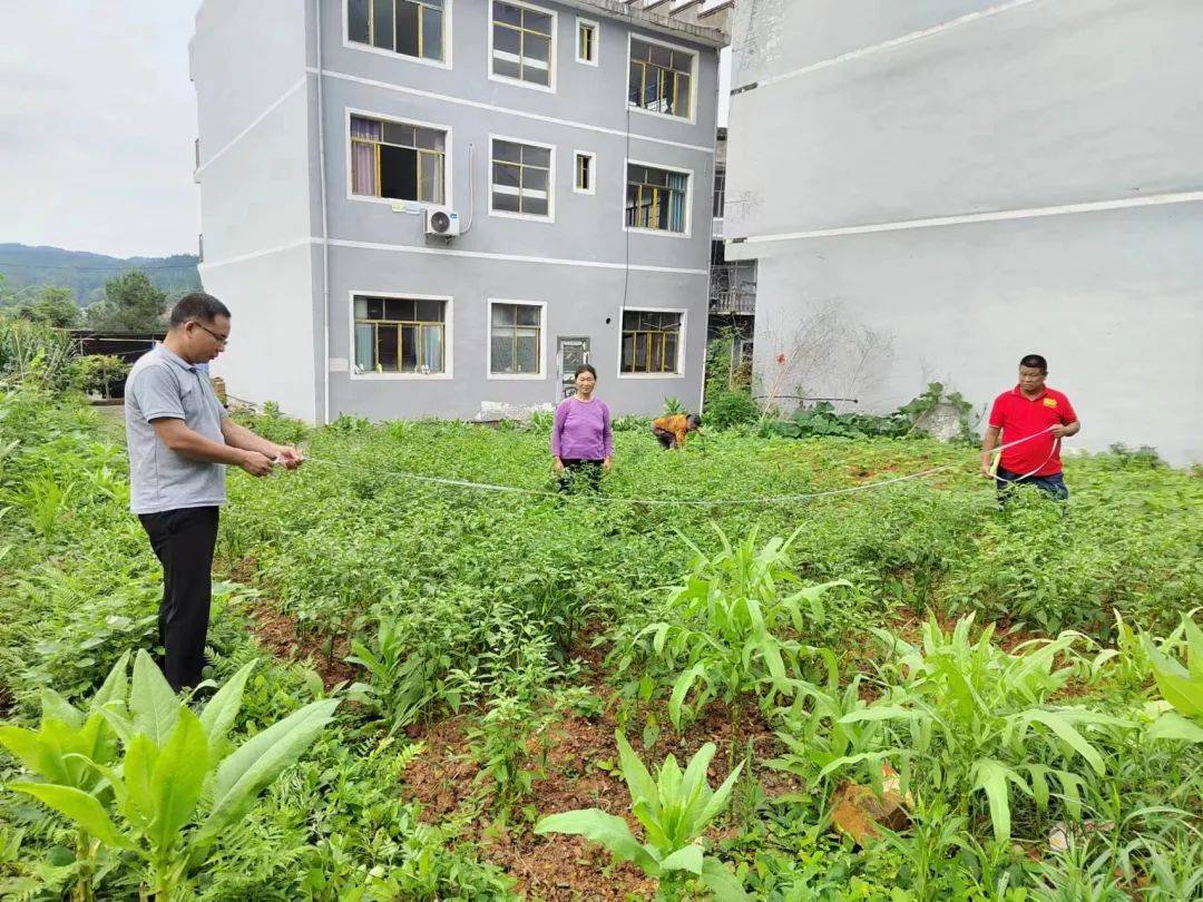 天柱县远口镇:把好产业奖补关 走好产业振兴路