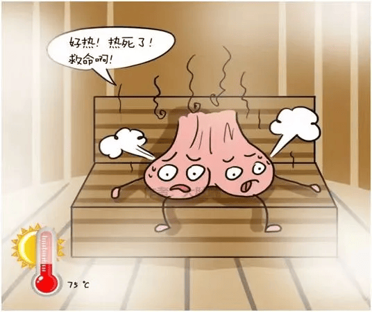 为何夏季精子质量较差?