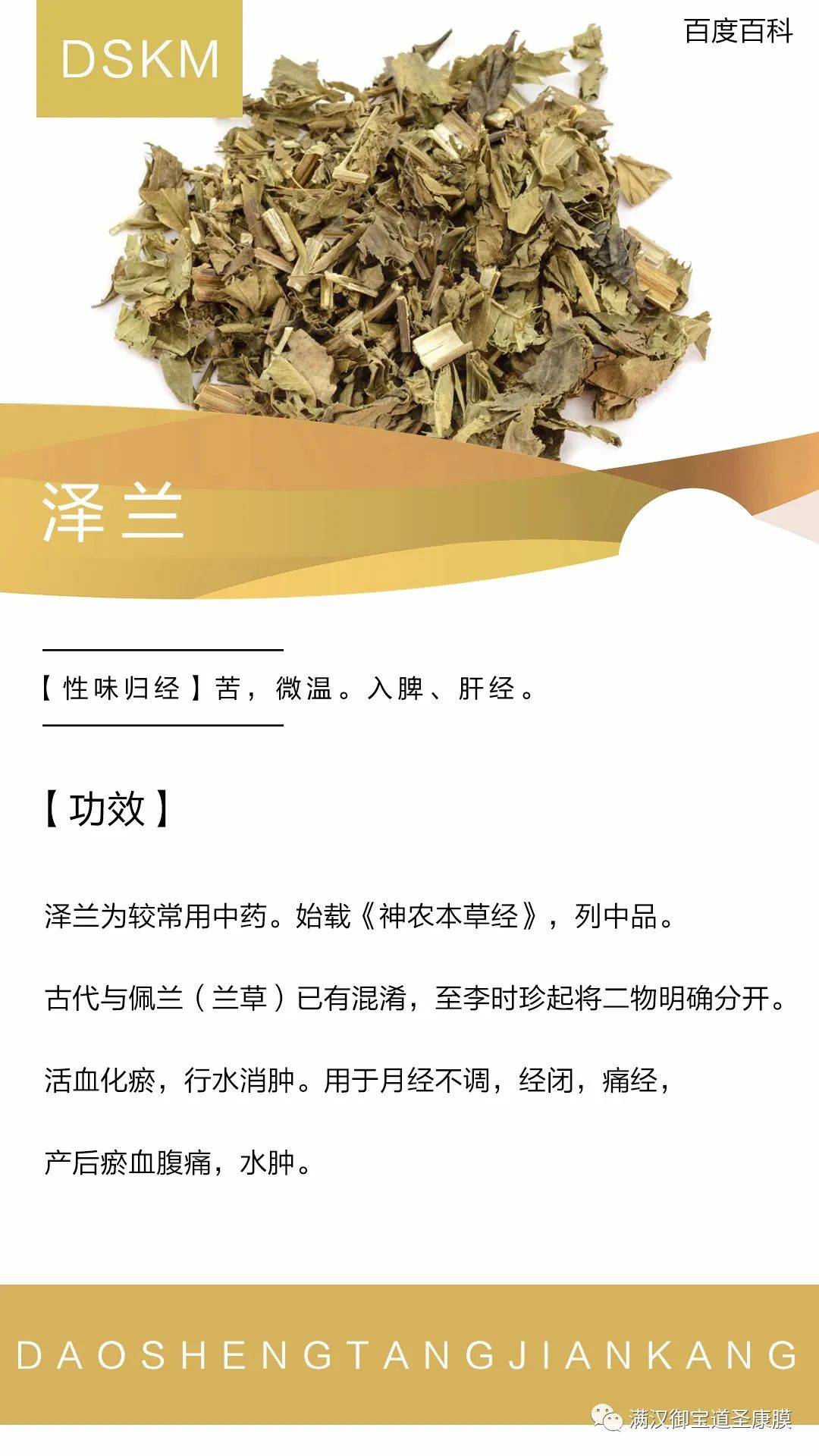一分钟读懂《道圣康膜》