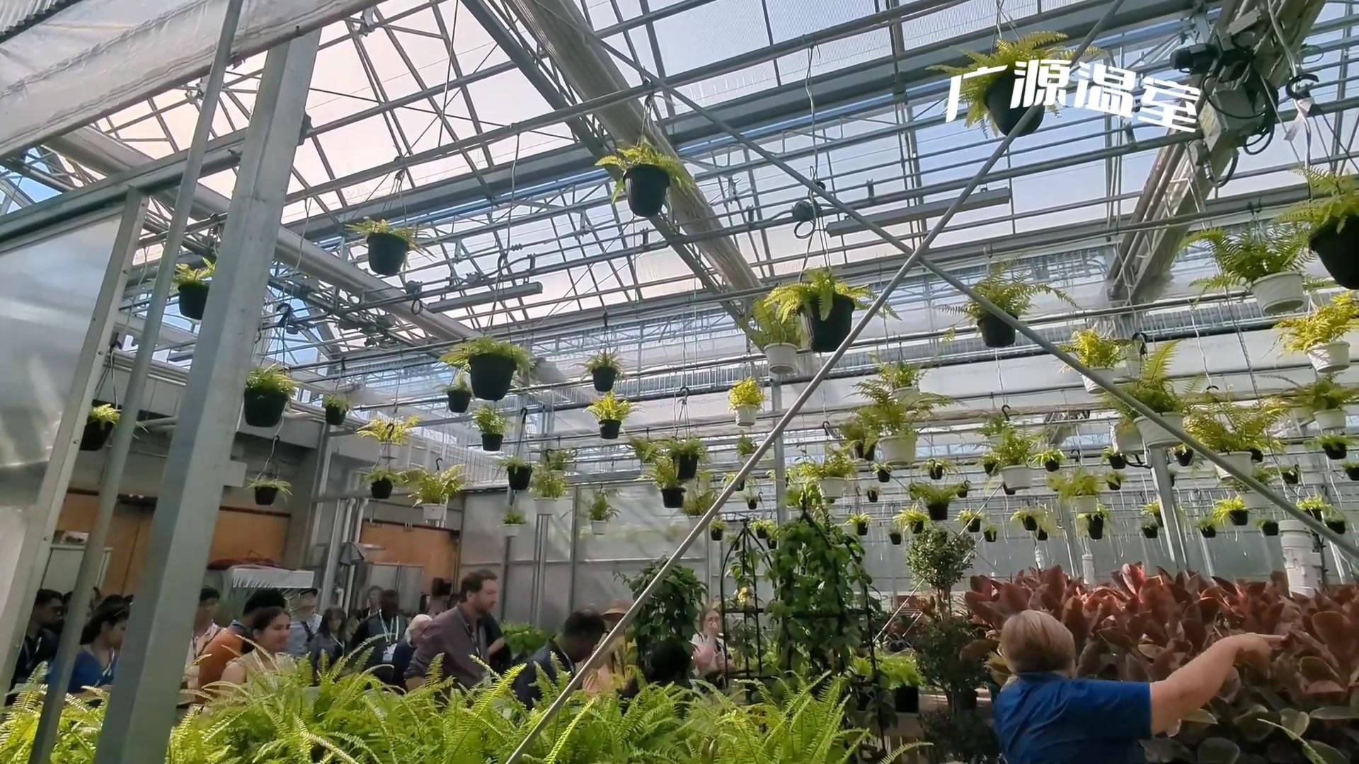 全开型屋顶花园温室大棚分享
