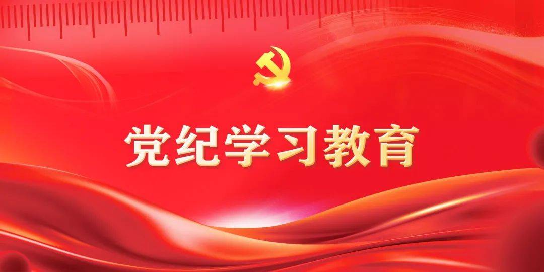 【党纪学习教育】深学细悟刻印在心 从严从实检身正己_整改_问题_工作
