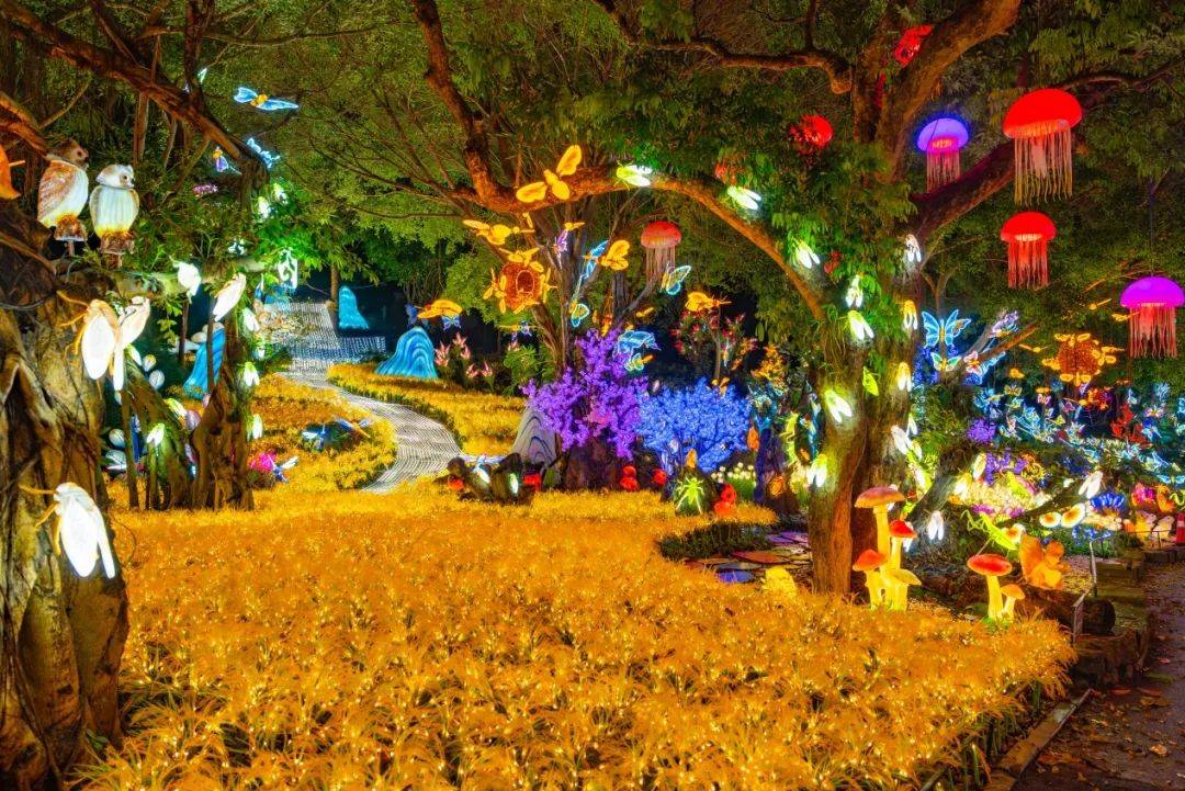 南宁夜景打卡地 1!_世界_活动_桂花园