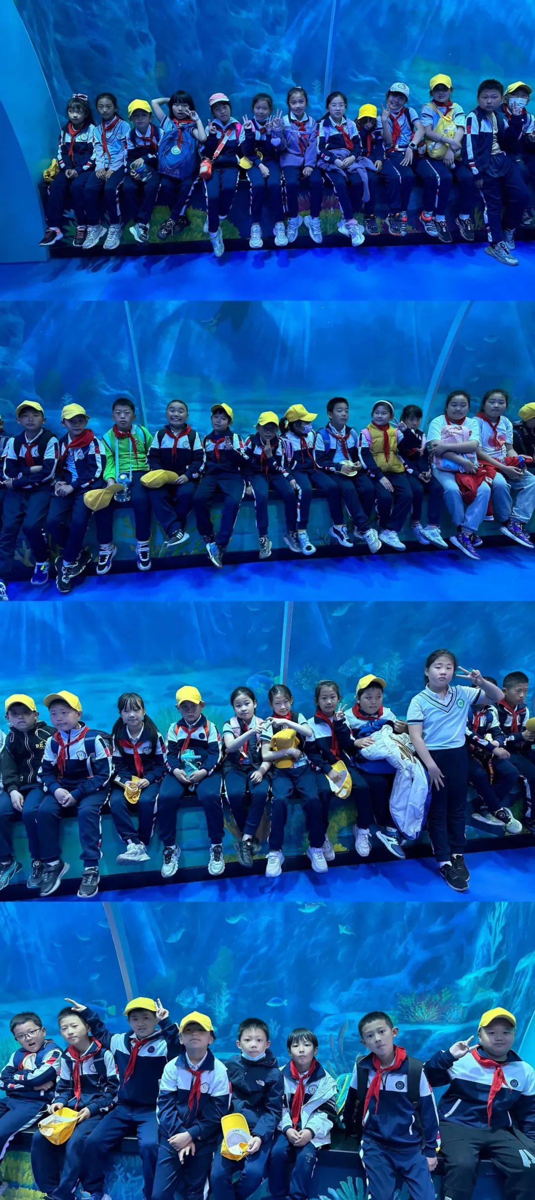 静待繁星满天——三年级1班班级风采展示