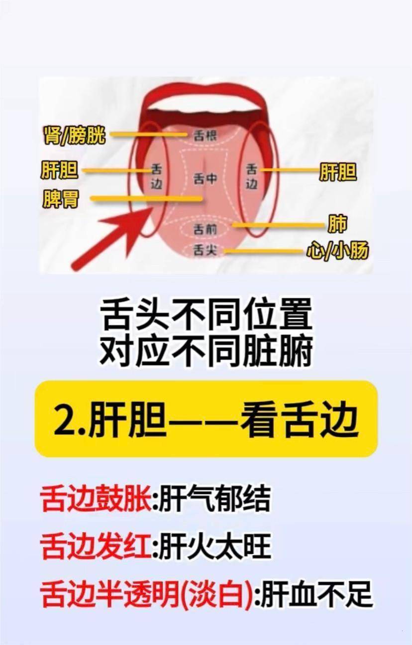 舌背位置图片