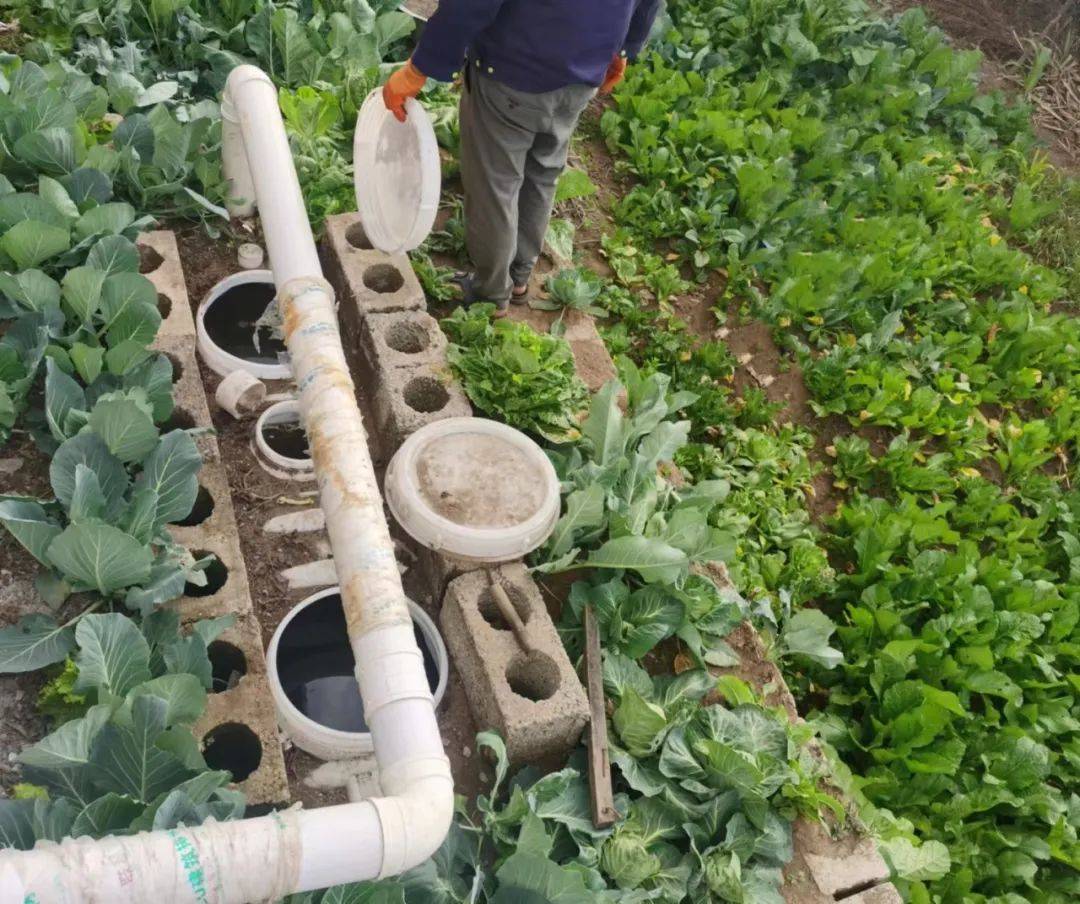 【小厕所 大民生】农村厕所革命的资源化利用,标准配置及正反案例推广