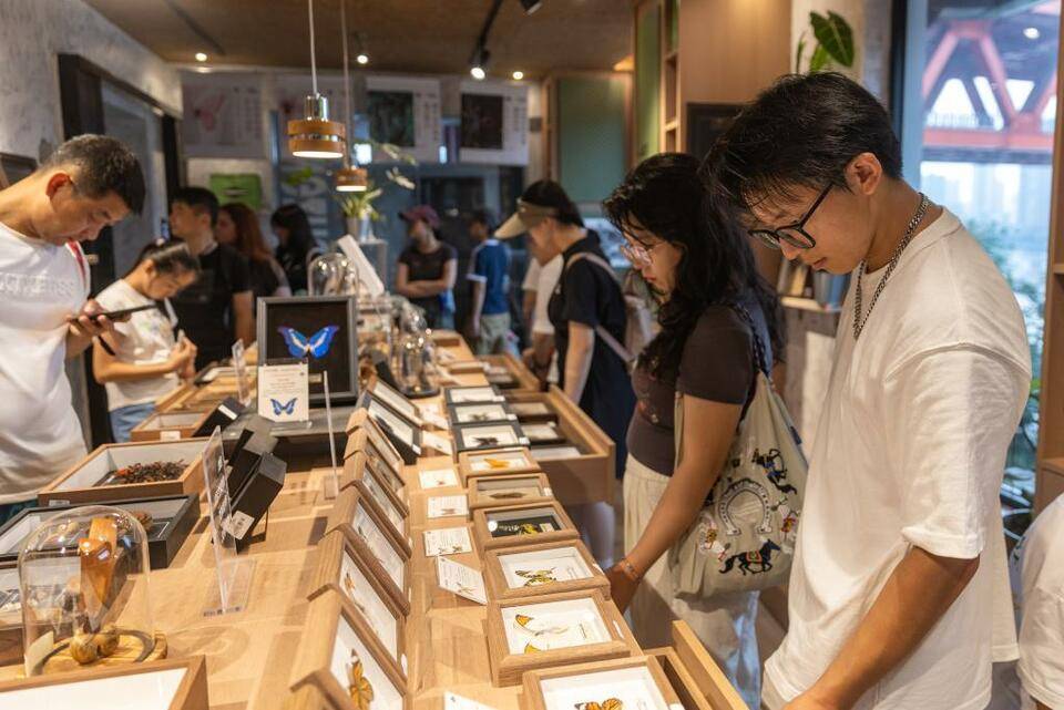 证券时报网 :王中王一肖一码一特一中一家四口-城市：敌人说守六个月就有救了，陈老总15天解决战斗，城市完好无损！  第1张