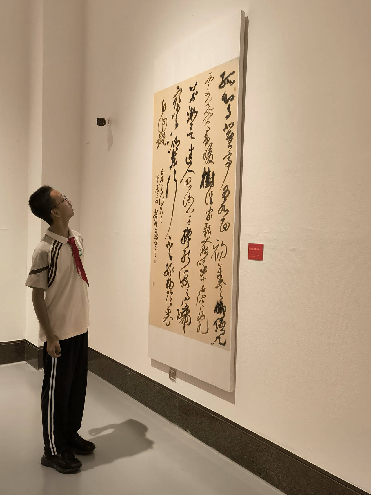 赏杭州书画 护美丽家园——采荷中学学生暑期实践走进展览馆