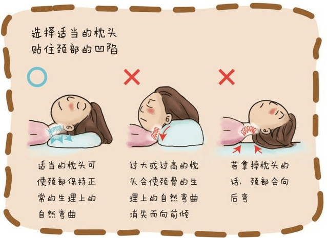 人体睡眠的最佳姿势图片