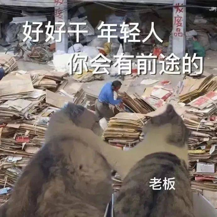 这沙雕表情包了解下?
