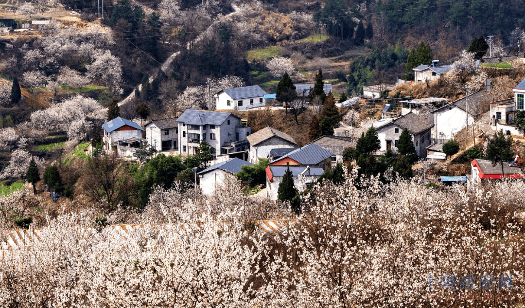 马营镇袁家坪村图片